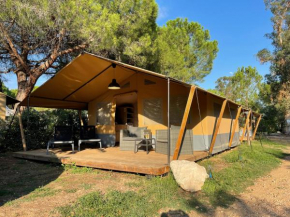 Budget Glamping Safaritent - Mas de Mourgues